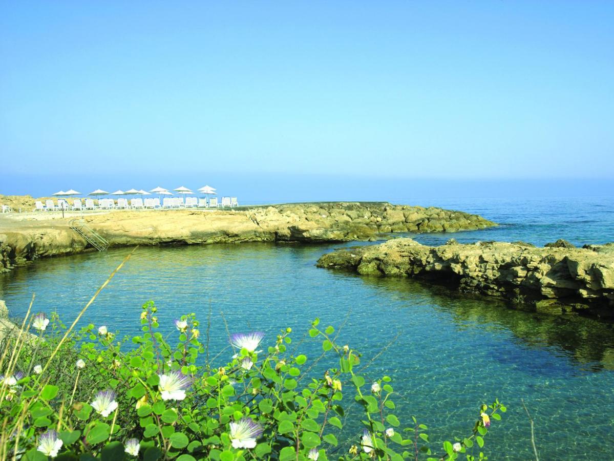 Cynthiana Beach Hotel Paphos Facilities photo